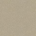  0042 Camber Pearl   Fabric