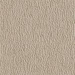  0001 Tamar Cloud   Fabric