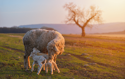 AdobeStock 254076296