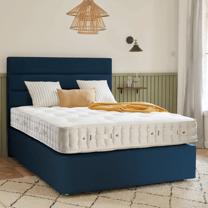 Orthos Support 6 HR 3