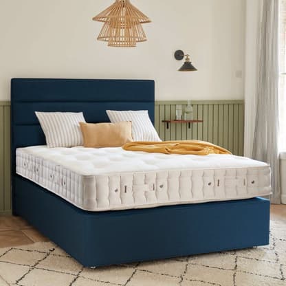 Orthos Support 6 832x832