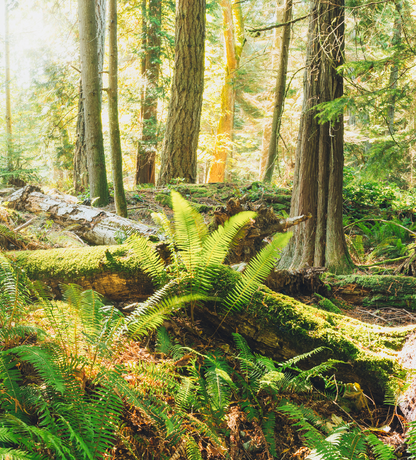 Eden Project Autum Tips Info Card CTA