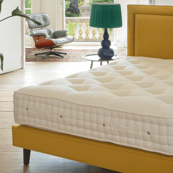 Legacy III IsabellaHB Customer Own 2324x2400 2png