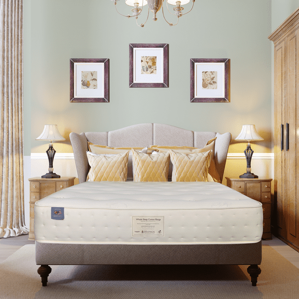 6872 Cotton 6 Lifestyle 1