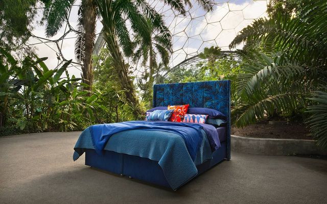 EDEN Rainforest 1280x800