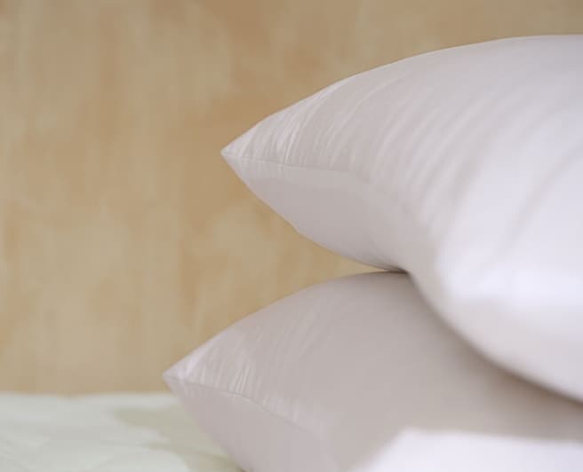 Pillows 1312