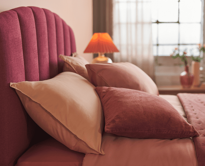 01 01 2024 RPP Hypnos Pantone24 Shallow BeatriceHB ZenithBlush 0005